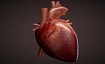 Здоровых людей нет, есть недообследованные: ранняя диагностики ишемической болезни сердца