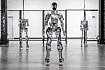 На заводе BMW в Южной Каролине начали тестировать роботов-гуманоидов Figure